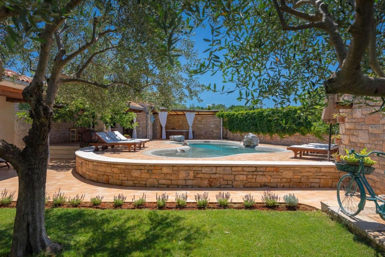 Family Villa Elizabeta With Pool In Umag Cepljani Экстерьер фото